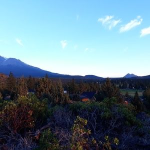 Meet your Posher, Cary